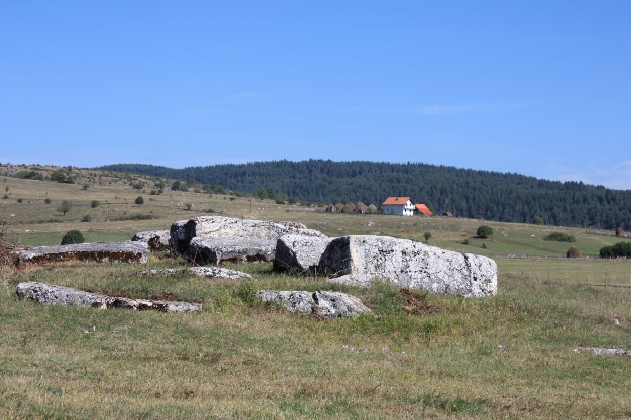 Prahistorijski tumulusi i nekropole sa stećcima u Luburića polju, historijsko područje